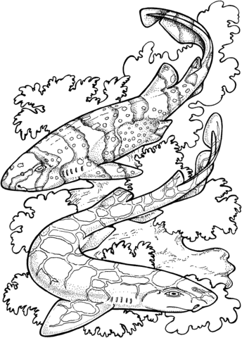 Zebra Sharks Coloring Page